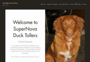 SuperNova Duck Tollers - SuperNova is registered Kennel with the Canadian Kennel Club and is a member in good standing with the NSDTR Club of Canada. We are a small breeder of Nova Scotia Duck Tolling Retrievers.