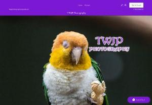 TWJP Photography - I'm a Photographer in Nottingham that does photos all around the UK. I do photoshoots and prints. I cover all forms of photography from weddings to animals to bikes to modelling.