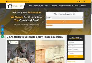Rodent Prevention with Spray Foam Insulation - Preventing rodents from entering your home is crucial, and spray foam insulation effectively seals the house, deterring them. This method is most effective before an infestation occurs.