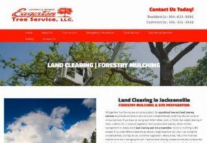 Land Clearing in Jacksonville - At Eagerton Tree Service we are serious about the specialized tree and land clearing services we provide and that is why we have included forestry mulching into our array of unique services