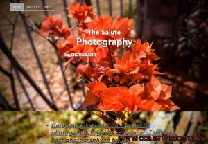 The salute photography - This is a website for nature lovers and it also provides great quality photography