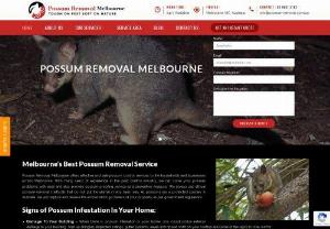 Possum Removal Melbourne - Do possums keep coming back to your yard? Removing possums from your property can be a real challenge. However, you're not alone. If you're bothered by possum invasion on your property, it's safe to call possum control experts from Possum Removal Melbourne. We offer safe, efficient, and effective possum removal solutions for households and commercial outlets across Melbourne. Depending on the level of infestation and your property size, we tailor our possum removal service to help you out. Our..