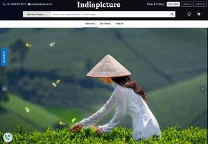 Best Stock Photo Sites to Buy - Buy high quality stock photos for commercial use. indiPicture is an Indian stock photo website. We provide the most trusted, high-quality royalty free images for commercial use. Join us and gain instant access to the largest stock photo collection in India. Start your search for royalty free images, vectors & illustrations today.