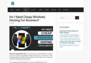 Do I Need Cheap Windows Hosting For Business? | Navicosoft - Wondering about a successful business? Take our convenient guide to this quest and choose cheap windows hosting for business