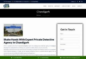 Detective Agency in Chandigarh - Are you looking for the best detective agency in Chandigarh? Contact us at the DDS Detective Agency. because they are the best private detective agency in Chandigarh.