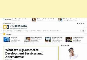 BigCommerce Development Services - You've decided to create an ECommerce website on BigCommerce; that's great! But do you have the knowledge to actually handle the development process yourself? Here, We break down the ins and outs of BigCommerce development services and why you should invest in them if you want your business to grow quickly, efficiently, and successfully. Must check.