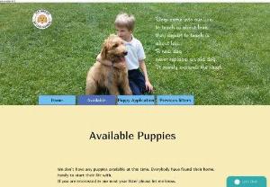 GoldendoodleReds - We are a small, but professional, home based breeders of happy, healthy dogs. We specialized on red standard size goldendoodles, with great temperament (F1b, F2b). Many years of experience, lots of happy families: )