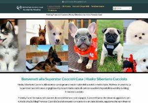 Superstar Cuccioli Casa - Welcome to the Superstar Cuccioli Casa. We breed and deliver our beautiful puppies all over Italy. Superstar Cuccioli Casa is proud to offer you many dog breeds with puppies available for sale.