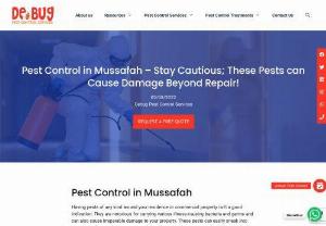 Pest Control Services in Mussafah - Stay Cautious; These Pests can Cause Damage Beyond Repair! Read Further to Know About the Best Pest Control Services in Mussafah.