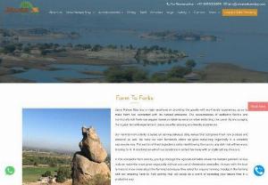 Farm To Forks - Jawai Nature Stay lays a major emphasis on providing the guests with eco-friendly experiences, so as to make them feel connected with its natural ambiance.