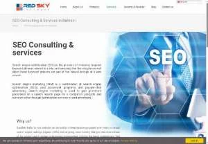 Screenshot of Red Sky Software SEO Consulting Services