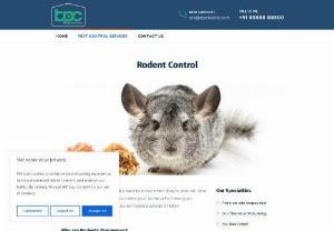 Rats Control Services - Rodent infestation can be a massive problem for any household. We are here to help you with rat control. Call us today!