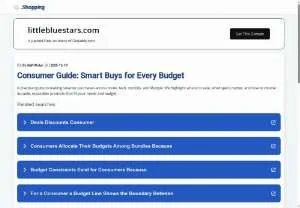 Screenshot of Blue Stars Tech Accessory Store