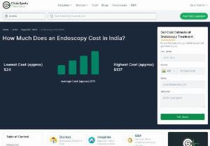 How Much Does an Endoscopy Cost in India? - Are you searching for Endoscopy Cost in India? If yes, then you are on the right page. You can find here everything you are looking for. Follow the link to know more.
