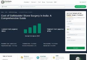 Cost of Gallbladder Stone Surgery in India: A Comprehensive Guide - Are you looking for Gallbladder Stone Surgery cost in India? If yes, then you are on the right page. You can find everything you need here. Follow the link to know more.