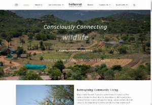 Nature At Work - Beforest executes farming collectives based on natural farming and permaculture concepts. We help establish that connection with nature and with community.