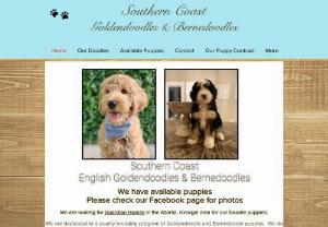 Southern Coast Goldendoodles - We are dedicated to a quality breeding program of Goldendoodle and Bernedoodle puppies. We do not have a facility or kennel. All of our dogs are raised in a loving home environment with us or a carefully screened Guardian Home.  

​

 ​We strive for producing puppies with fabulous conformation, sound temperament, sweet dispositions and breed only healthy bloodlines. All of our Goldendoodles are health tested and registered with GANA. We also health test our Bernedoodles...