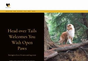 Head Over Tails - Dog walking services offering either group walks or solo. I cover Easington Lane and surrounding areas.