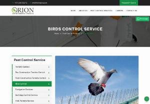 Birds Control in Abu Dhabi and Dubai - Orion pest control is the front-runner in all kinds of pest control services including bird control solutions too.