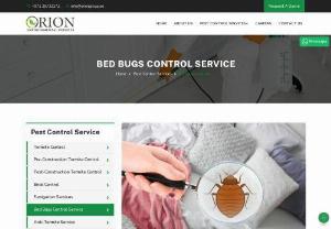 Bed Bugs control services in Abu Dhabi and Dubai - We are among the top companies that are in bed bugs related issues in Abu Dhabi and Dubai.