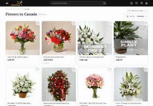 Online Flower Delivery in Canada - Send Flowers to Canada | Interflora Canada - Send Flowers to Canada with FREE shipping. Order & get roses, luxury flowers bouquet delivery in 2-3 hours from the best florist in Canada. Find best flower shop near me with same day delivery option - Interflora Canada.