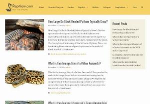 Learn More About Reptile - Want to learn more about reptiles? Look no further! We've got all the info you need right here