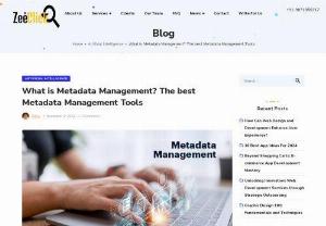 What is Metadata Management? - Metadata management is an agreement between organizations to define information assets to transform data into enterprise assets.