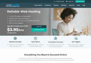 Best Hosting Provider in USA - Web hosting allows individuals, and organizations to make their websites or apps visible online. Whether they're using a shared server or dedicated resources, each and every website is hosted on a server. The only way for a website to be visible online is if it's hosted by the best web hosting services in USA. The hosting provider you choose is very critical to the success of your website. A reputable provider keeps your website online and helps you avoid unnecessary downtime.