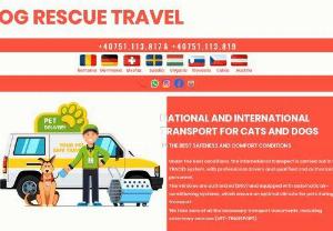 DOG RESCUE TRAVEL - National and international transport for dogs and cats in the best conditions of safety and comfort