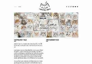 Catmelody Cattery - Scottish Fold and Munchkin Fold Cat Farm
Beautiful form, cute, good health, Baipet WCF TICA SCFC
Raise the system, close 100%, air-conditioned rooms 24 hrs.
Advise to give advice throughout the cat's lifespan.