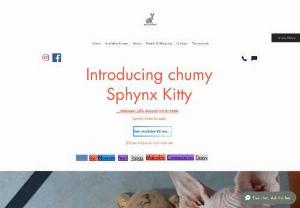 Chumy Sphynx Kitty - We have sphynx kittens and offers them for adoption and for sale. Our kittens are well trained, good with kids and other pets. We are available in the United States of America (USA) and ship to all other states. California and Texas, Colorado, Etc