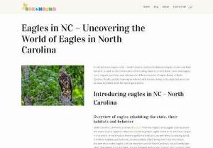 boxandhound - eagles in NC - North Carolina. Explore the habitats eagles inhabit and their behavior, as well as the conservation efforts being taken to protect them