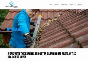 Pro Gutter Cleaning Charleston - Our goal is to provide quality service that will keep your gutters clean without spending all day at your property!