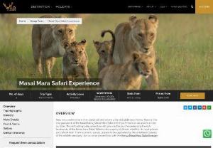 Masai Mara Luxury Safari - WildVoyager provides you luxury Kenya Masai Mara Safari Tour Packages in 2023 at the famous Masai Mara National Reserve known for the Big 5 game animals.
