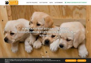 Andreas Koutavakia - Interested in bringing a new furry friend into your life? We have puppies available for sale in Thessaloniki, Athens, and all over Greece that have received vaccinations and deworming, with certification of their health and cleanliness.