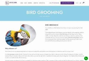 BIRD GROOMING - kittyzone - BIRD GROOMING If you feel like your little feathered friend does not require any grooming, then think again! These delicate