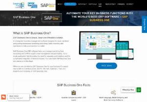 sap business - Leaping Frog Consulting offers SAP Business One ERP Software Implementation and Support Services based in Mumbai, India
