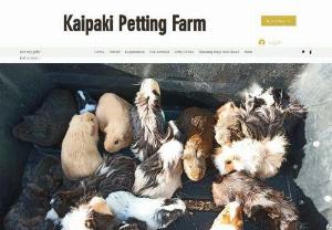 Kaipaki Petting Farm - If you love cute, furry, fluffy animals and want to pat them, make your way out to the farm! Whether it snuggling with the guinea pigs, watching the rabbits, acting like a chicken, feeding lambs (in season) otherwise the old girls are always up for a feed at the gate or wondering what do lizards feel like? Brushing the ponies, you can get up close and personal at this friendly farmyard. There are also big animals you can visit too including horses, cows, bull. Can't forget...