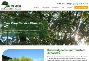 Tree Care & Fertilization Services Phoenix - Trees For Needs - Trees For Needs offers professional tree care and fertilization services in Phoenix. Our team of experts ensures your trees stay healthy and beautiful. Contact us!