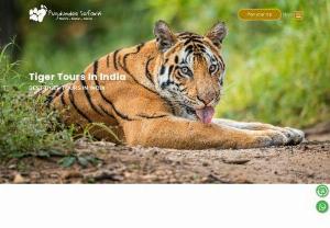  Best Tiger Tours in India | Tiger Tour India - Looking to see tigers in their natural habitat? Pugdundee Safaris offers the best tiger tours in India. Discover the thrill of exploring the wild side of India with Pugdundee Safaris' tiger tours. Get up close and personal with these magnificent creatures in their natural habitat and experience the adventure of a lifetime. Book your tiger tour today!