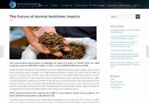 The Future of Animal Nutrition: Insects - The insect animal feed market is estimated to reach worth US$18,202.35 billion by 2028. The insect animal feed market is expected to experience growth in the coming years, primarily due to the expansion of production capacity and ongoing R&D efforts in the insect-based animal feed products sector. For more information, please refer to our website.
