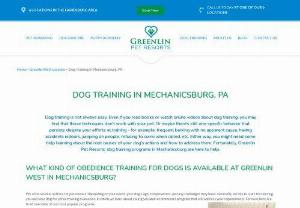 Dog Training in Mechanicsburg, PA - Greenlin Pet Resorts - At Greenlin Pet Resorts we know all about family. Weve been family-owned and operated for over 15 years and enjoy making each pet feel right at home with us. Our facilities are the product of our heartfelt passion for pets both ours and yours. All our furry guests enjoy comfort, engagement, and lots of love and their pet parents enjoy peace of mind.