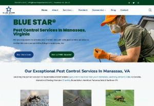 Pest Control Company Serving Manassas, VA | Blue Star Solutions - Blue Star Pest Services is commitment to safe, and effective pest control services. We have worked with national pest control companies for years, we have practiced both effective and problematic pest control methods.