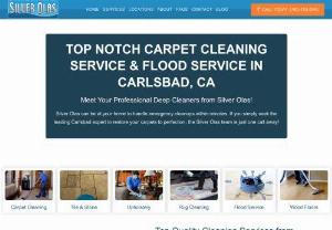 Silver Olas Carpet, Rug, & Tile Cleaning Carlsbad - Silver Olas is a family operated business for over 20 years. Specializing in the detailed cleaning of carpet, tile, stone cleaning as well as furniture area rugs, countertops and showers. With each service we do, we do not skip steps, for carpet cleaning vacuum, Spot clean, precondition, machine scrub, slow steam cleaning followed by fans to help dry. There is a difference between service companies. You will find us to be thorough, pleasant, good communication and we respect your home.