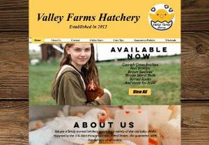 Valley Farms Hatchery - Valley Farms Hatchery is dedicated to providing superior quality day-old baby poultry to our customers throughout the United States. We are NPIP Certified and ship nationwide!