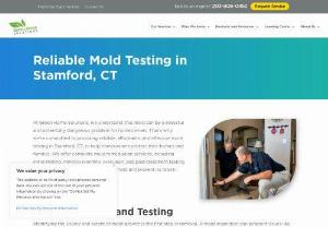 mold testing in Stamford, CT - Green Home Solutions provides expert indoor air quality services. Contact us for your mold remediation, indoor air quality treatment, and odor removal needs.