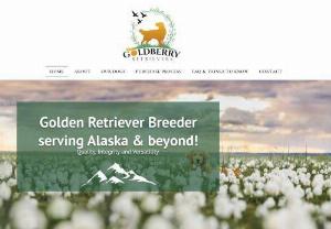 Goldberry Retrievers | Golden Retriever breeder in Alaska | Wasilla, AK, USA - Looking for a quality Golden Retriever breeder in Alaska with a commitment to health testing and breeding integrity? Look no further! Our Goldberry Retriever breeding program is dedicated to producing healthy, happy, versatile puppies that make wonderful canine companions.