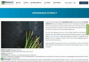 Asparagus Extract - We are one of the best Asparagus Extract Manufacturers in India - Botanic Healthcare. Asparagus officinalis is known as Shatavari in Ayurveda and has been used as a medicinal plant for centuries. The healing properties of the herb make it suitable for various medicinal purposes. Please contact our experts if you have any further queries.