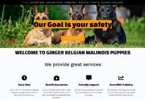 GINGER BELGIAN MALINOIS PUPPIES - Gingermaligators com is your source for Belgian Malinois breeders. We provide the highest quality puppies and adult dogs for sale, as well as expert advice on how to care for your new pet. Visit us today to find your perfect Belgian Malinois.