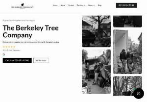 The Berkeley Tree Company - Welcome to The Berkeley Tree Company Limited - your expert tree surgery contractor, serving Central and Greater London! Our fully-insured team of professionals provides exceptional service for all aspects of residential and commercial tree care. From pruning and trimming to complete tree removal, we deliver top-quality workmanship. Don't stress over estimates or advice - contact us through our website, email, or phone for a hassle-free, no-obligation consultation.

Address:
Office 1, 2A C